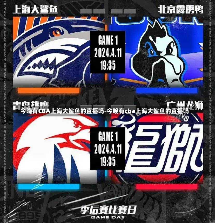 网球比赛开